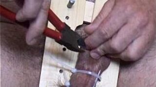 my cock and my balls with - porn video